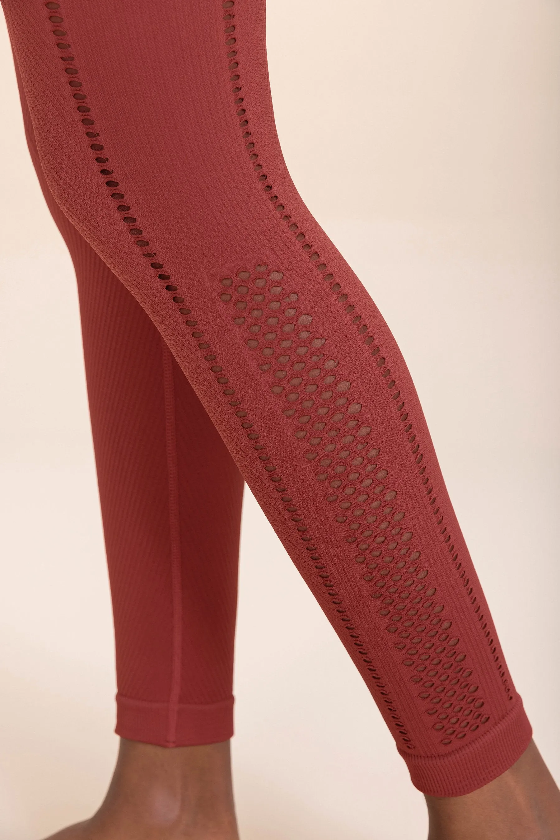 Dynamic Seamless Leggings