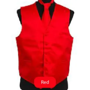 Red Mens Solid Vest