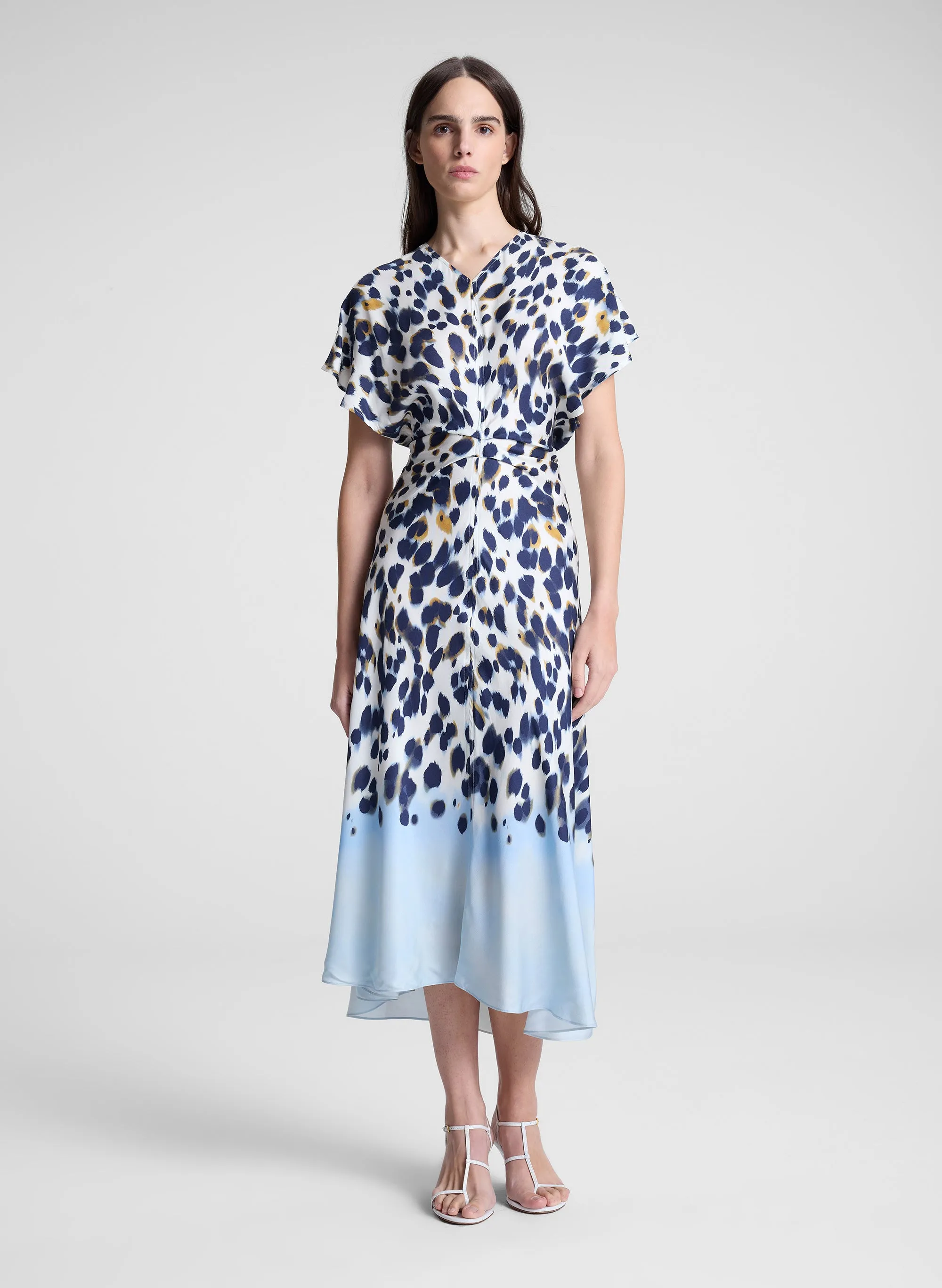 Rem Printed Midi Dress