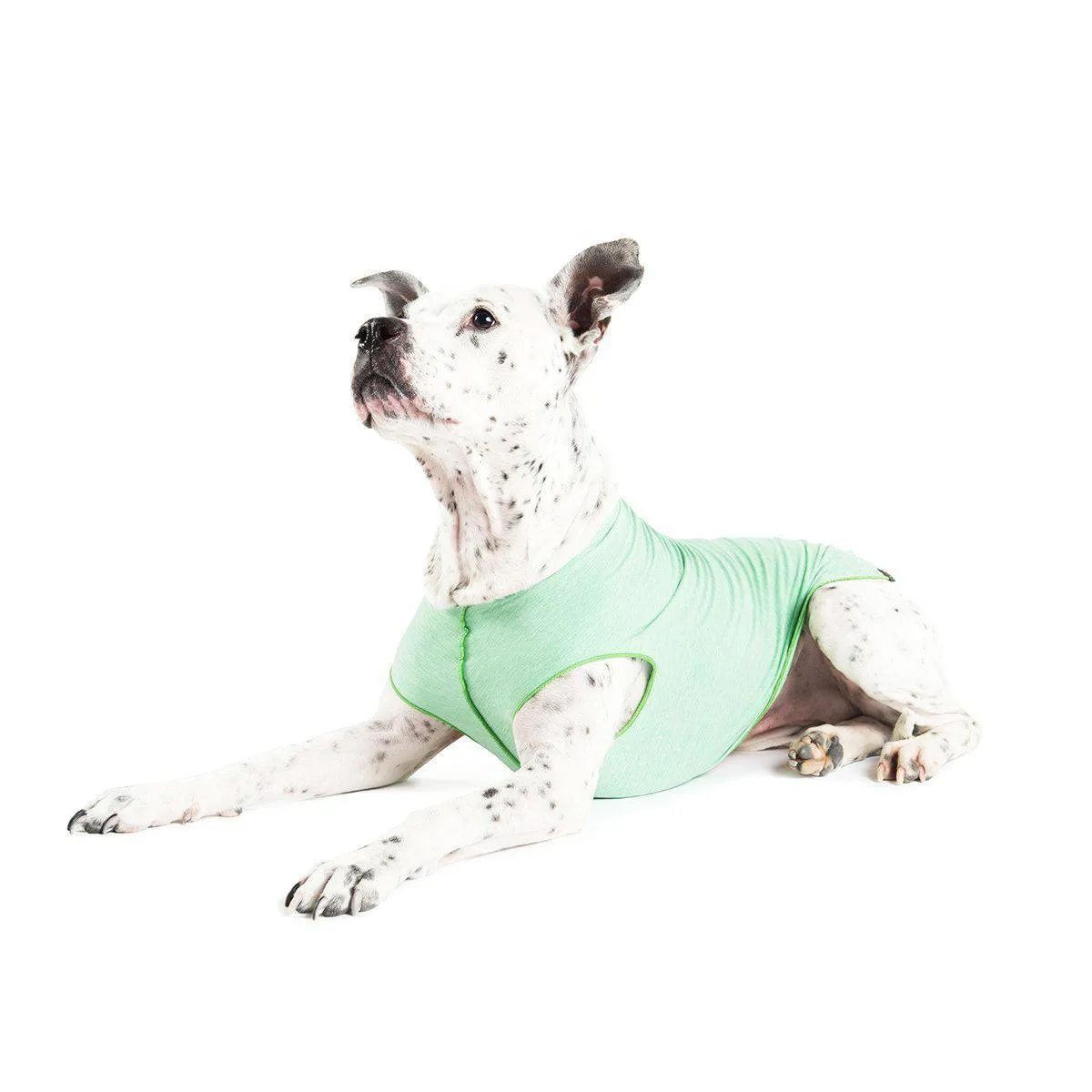 Sun Shield Dog Tee Pistachio