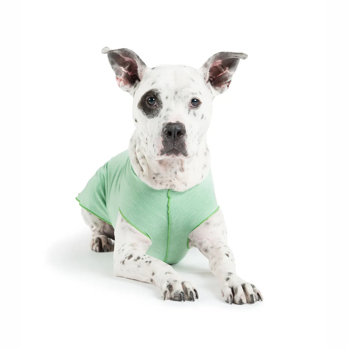 Sun Shield Dog Tee Pistachio