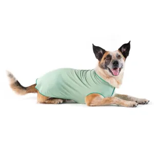 Sun Shield Dog Tee Pistachio