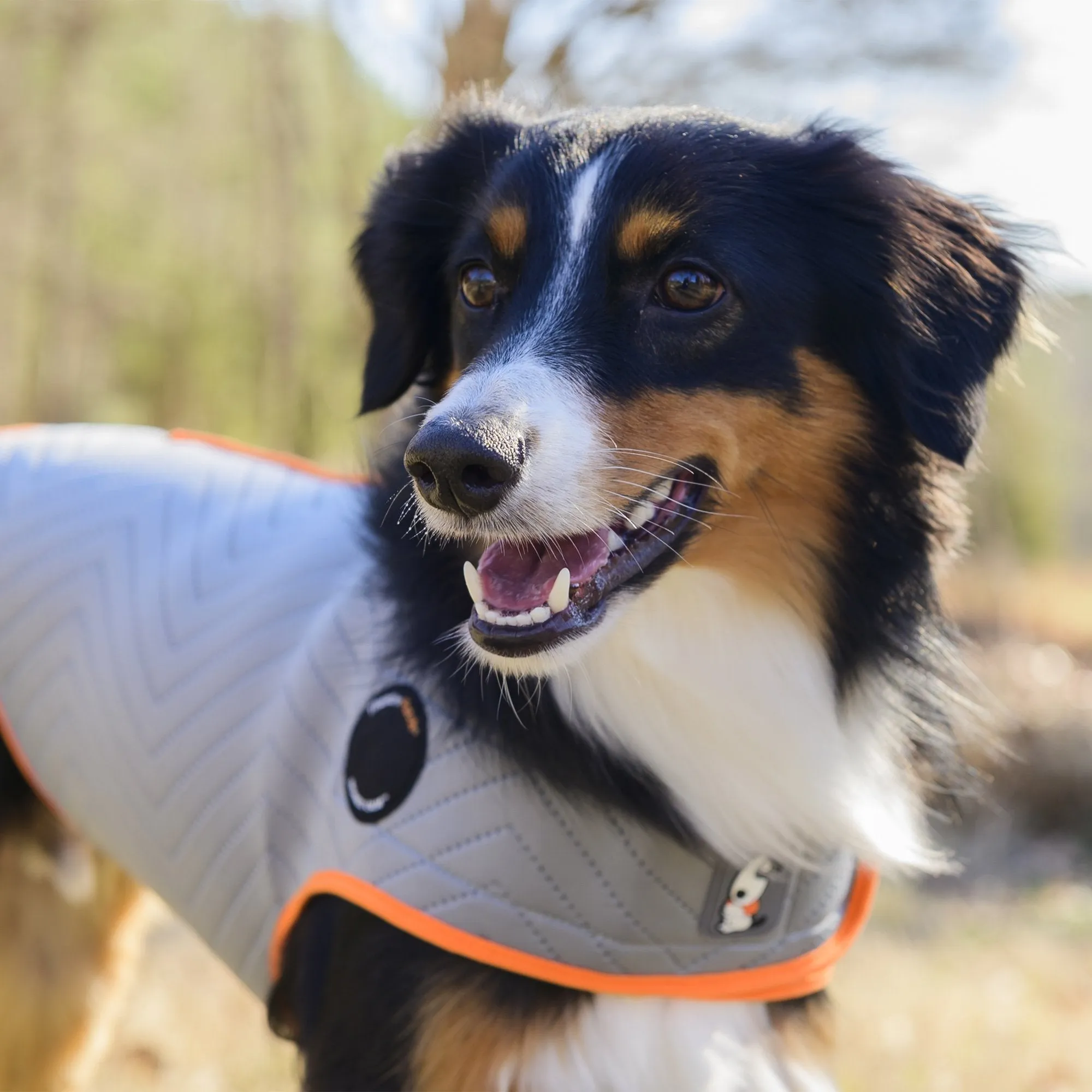 Thunderworks ThunderShirt for Dogs: Platinum Sport