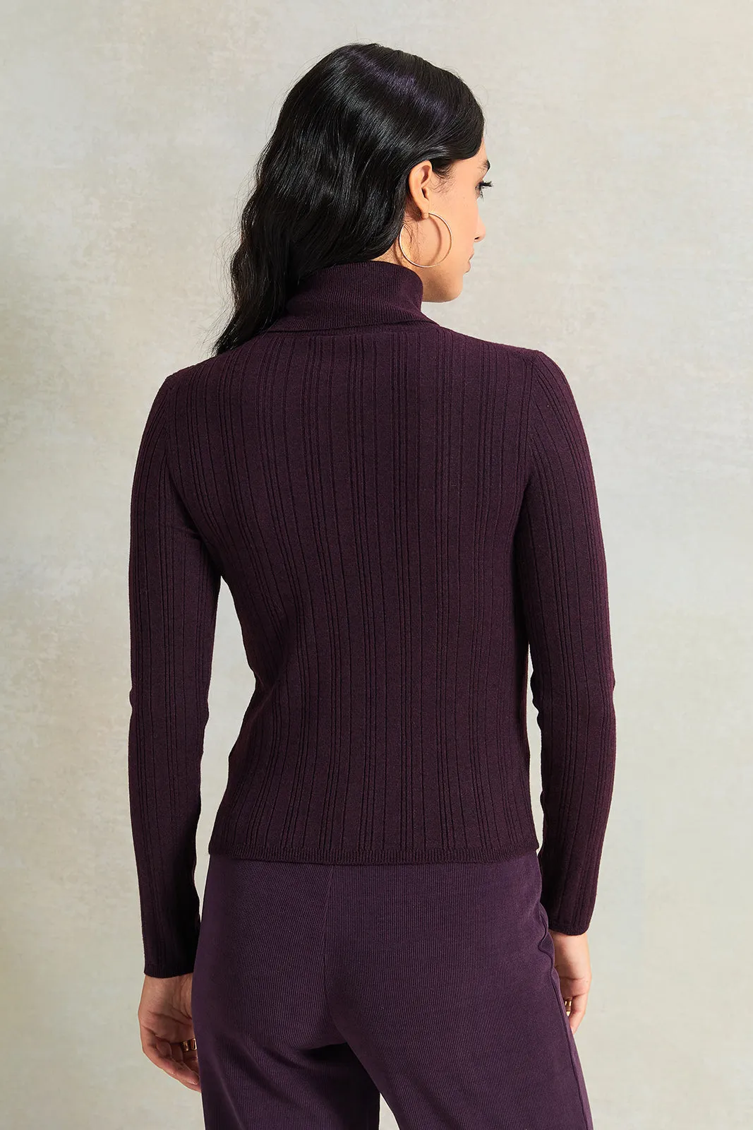 Women Burgundy Textured High Neck Sweater